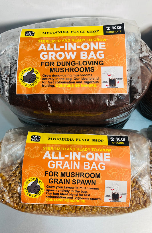 Mushroom Spawn Whole Wheat Grain Bag πΎ