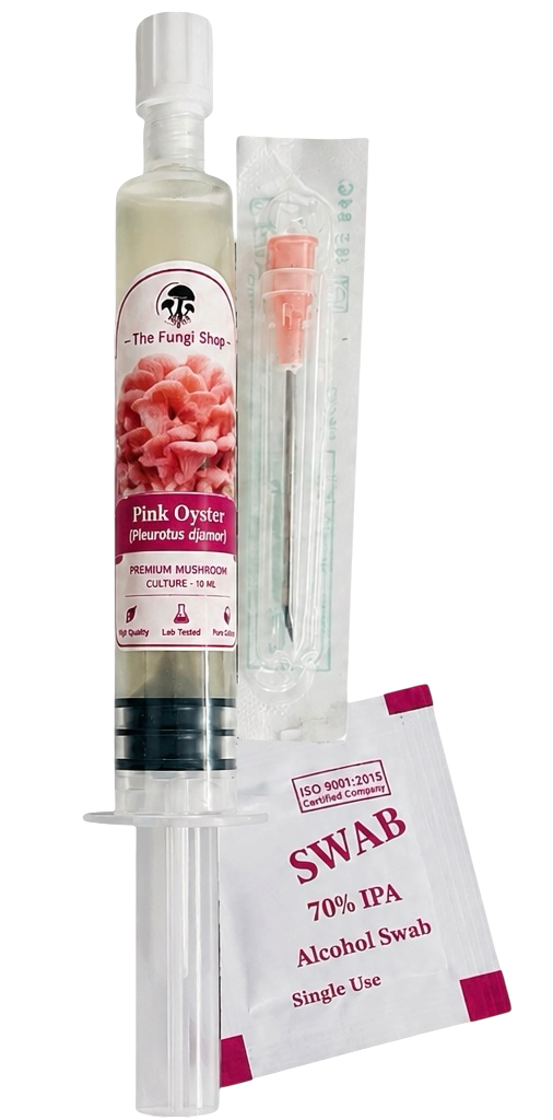 Pink Oyster [Pleurotus djamor]
