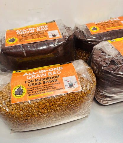 Mushroom Spawn Whole Wheat Grain Bag 🌾