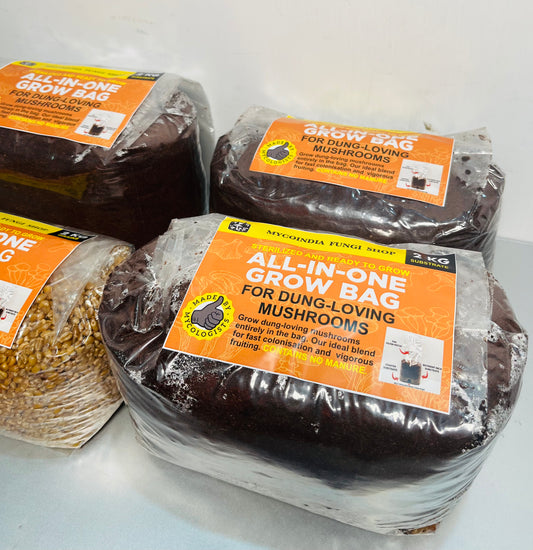 All-in-1 Mushroom Grow Bag 🍄‍🟫